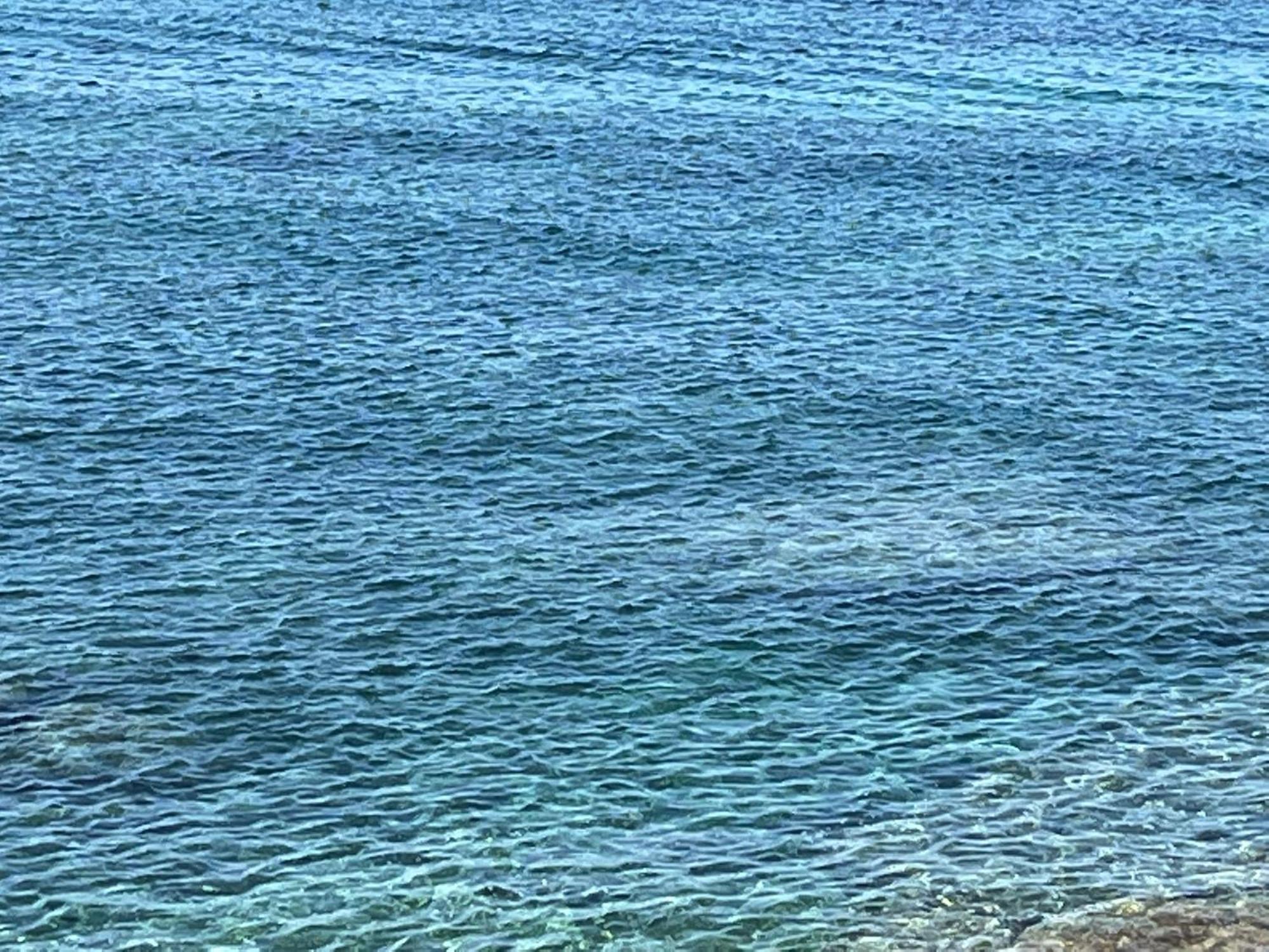 Casa Mare Incantevole 알게로 외부 사진